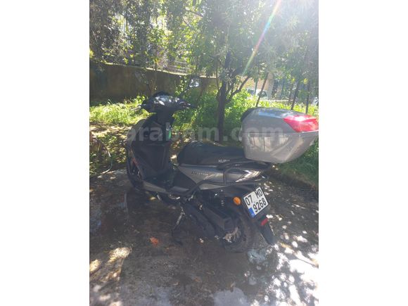 Sahibinden Kuba Pesaro 50 X
