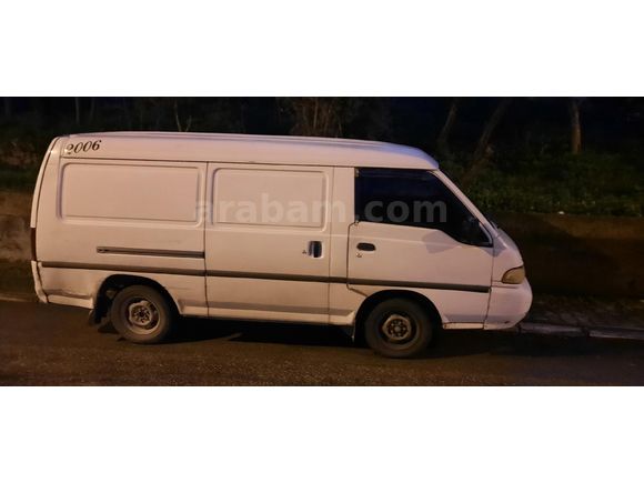 Panelvan h100