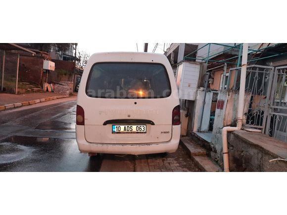 Panelvan h100