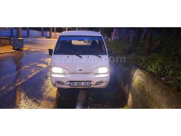Panelvan h100