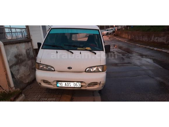 Panelvan h100