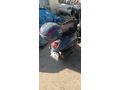 Sahibinden Kuba Bluebird pro