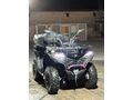 Sahibinden CFMoto C Force 450 L EPS 