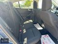PEHLİVAN OTOMOTIV'DEN FOCUS 1.5 ECOBLUE TİTANİUM X - HATASIZ-