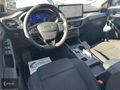 PEHLİVAN OTOMOTIV'DEN FOCUS 1.5 ECOBLUE TİTANİUM X - HATASIZ-