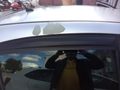 Sahibinden Citroen C4 1.6 HDi SX 2007 Model