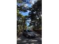 Sahibinden Renault Megane 1.5 dCi Authentique 2004 Model