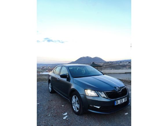 Sahibinden Skoda Octavia 1.6 TDI Optimal 2019 Model