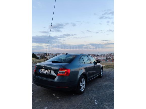 Sahibinden Skoda Octavia 1.6 TDI Optimal 2019 Model