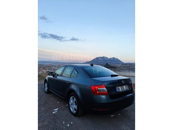 Sahibinden Skoda Octavia 1.6 TDI Optimal 2019 Model
