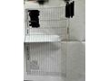 Sahibinden Opel Astra 1.6 GLS 1995 Model 