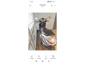 Sahibinden Honda Activa 125