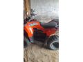 Sahibinden Kuba Viptrack 250 / T3
