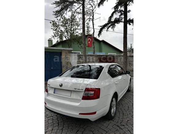 Sahibinden Skoda Octavia 1.6 TDI Optimal 2014 Model