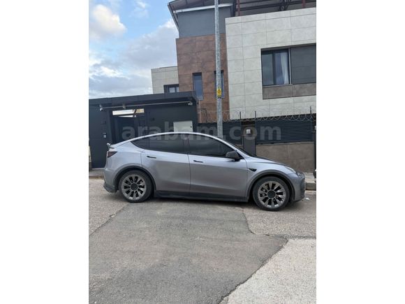 Sahibinden Tesla Model Y Performance 2023 Model 
