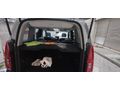 LEKESİZ XTR CAMTAVANl