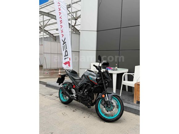 Sahibinden Yamaha MT 25 ABS 