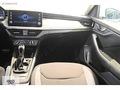 Skoda Kamiq 1.0 Tsi Elite Dsg 115HP - 2025