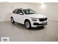Skoda Kamiq 1.0 Tsi Elite Dsg 115HP - 2025