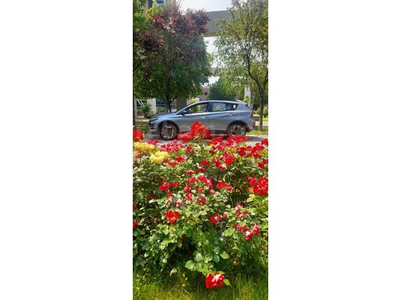 Sahibinden Hyundai Bayon 1.0 T-GDI Style 2026 Model Ankara