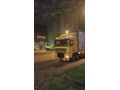 Sahibinden DAF XF 95.480 