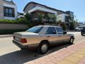 Sahibinden Mercedes - Benz 250 D 1990 Model
