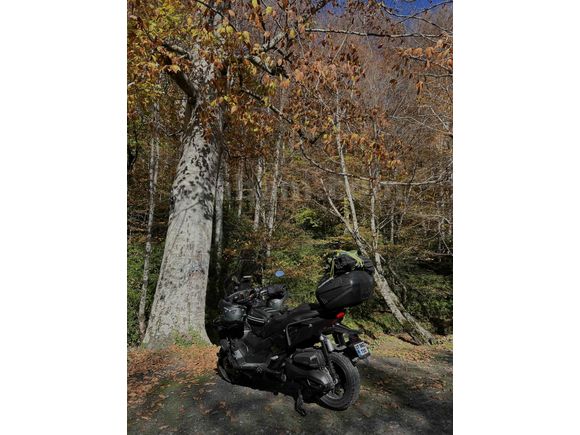 TEMİZ AKSESUARLI GARAJ MOTORU