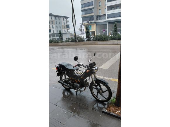 Sahibinden Kuba Leopar 100