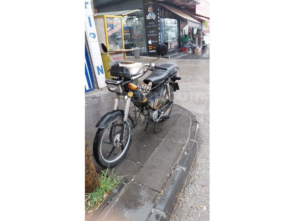 Sahibinden Kuba Leopar 100
