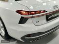 AVCIOĞLU - 2025 AUDI A6 40 TDI QUATTRO ADVANCED %20 BAYİ HATASIZ