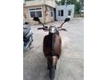 Sahibinden Kuba Blueberry 50