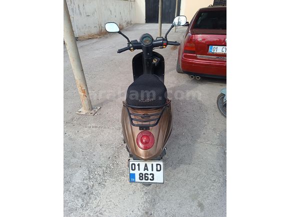 Sahibinden Kuba Blueberry 50