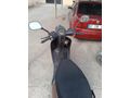 Sahibinden Kuba Blueberry 50