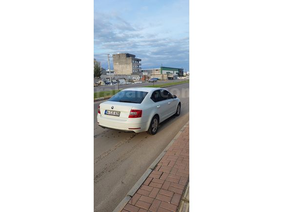 Sahibinden Skoda Octavia 1.6 TDI Optimal 2019 Model 