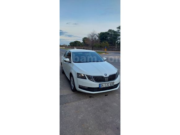 Sahibinden Skoda Octavia 1.6 TDI Optimal 2019 Model 
