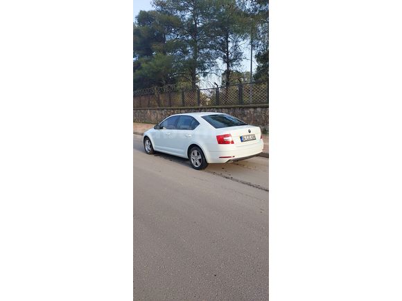 Sahibinden Skoda Octavia 1.6 TDI Optimal 2019 Model 