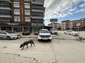 MKP OTOMOTİVDEN 4x4 DUSTER