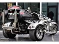RİTİM MOTORS 2008 FAMİLY TRİKE LOW RİDER