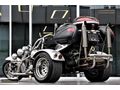 RİTİM MOTORS 2008 FAMİLY TRİKE LOW RİDER