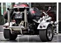 RİTİM MOTORS 2008 FAMİLY TRİKE LOW RİDER