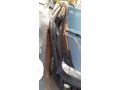 Sahibinden Hyundai Otomatik vites ( H 100) 2.5 D STD Panelvan 1999 Model 