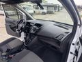2016 PANELVAN CONNECT