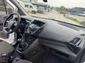 2016 PANELVAN CONNECT