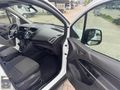2016 PANELVAN CONNECT