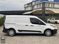 2016 PANELVAN CONNECT