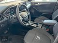PEUGEOT BAYKARALAR 2025 FOCUS 1.5 ECOBLUE ACTİVE STİL 115 HP