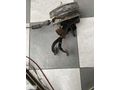 Peugeot partner 1,9 2,0 pedal