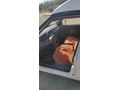 Sahibinden Skoda Pick Up 1.9 