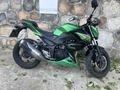 Sahibinden Kawasaki Z 300 