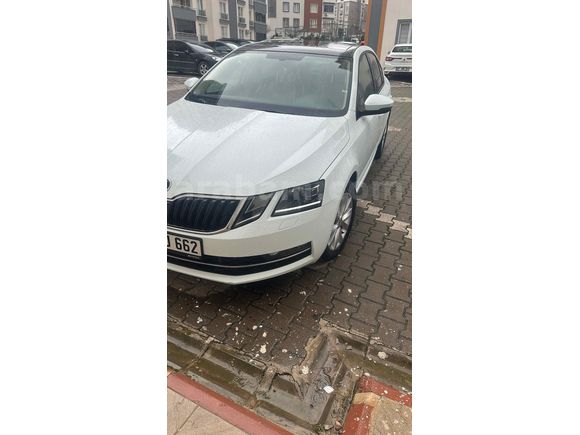 Sahibinden Skoda Octavia 1.6 TDI Style CR 2019 Model 